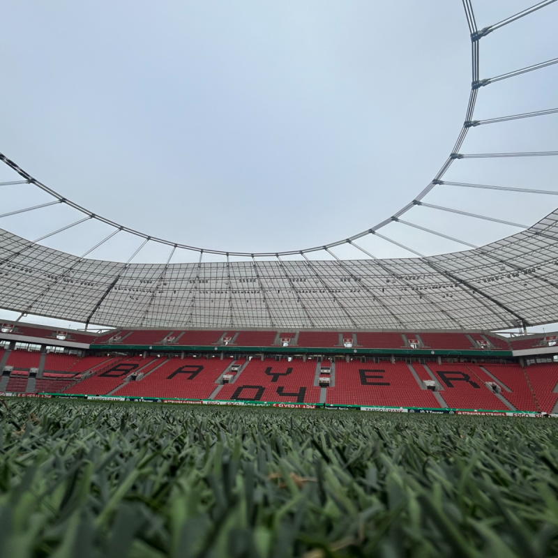 Bayer04